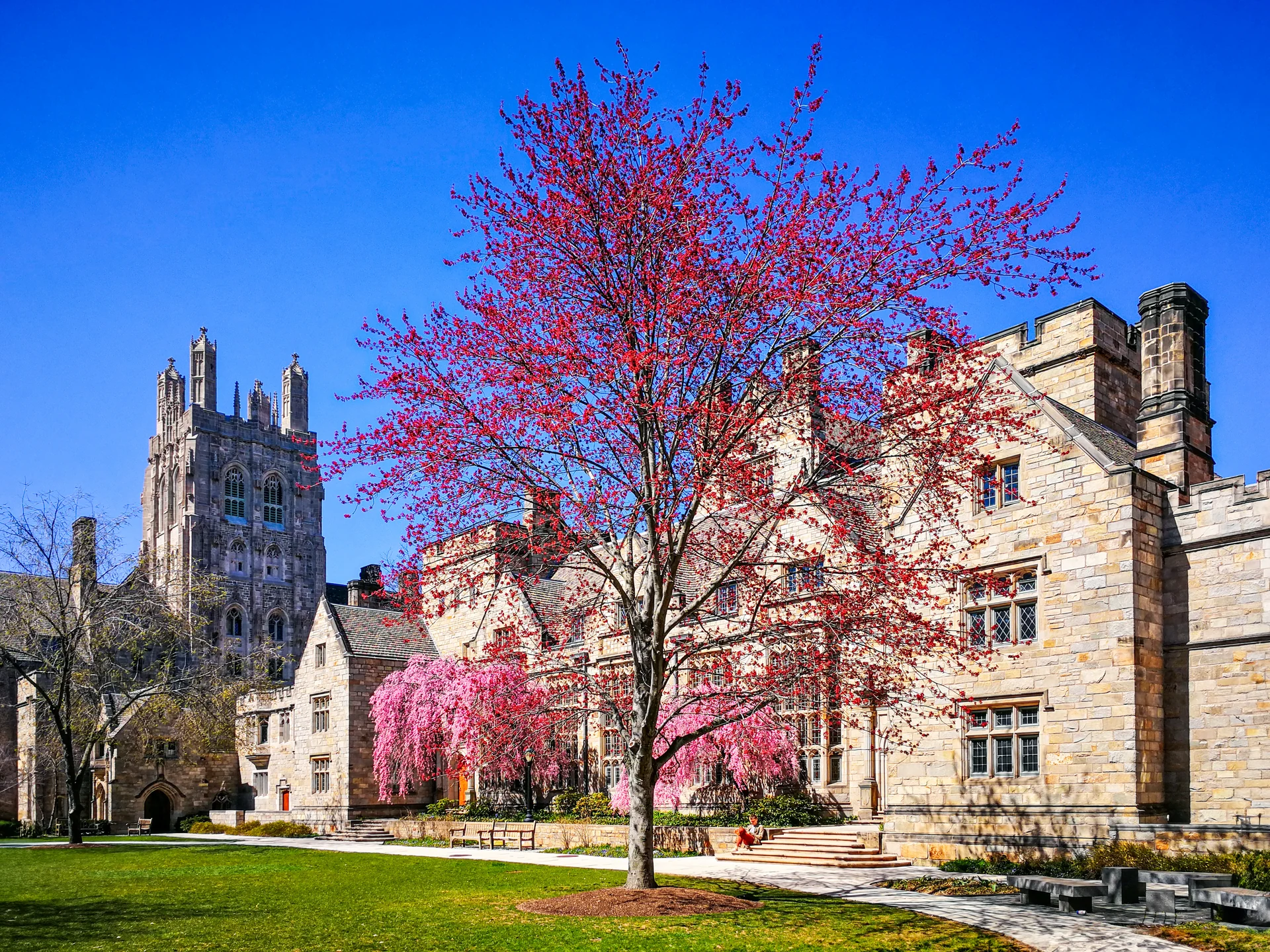 University campus
