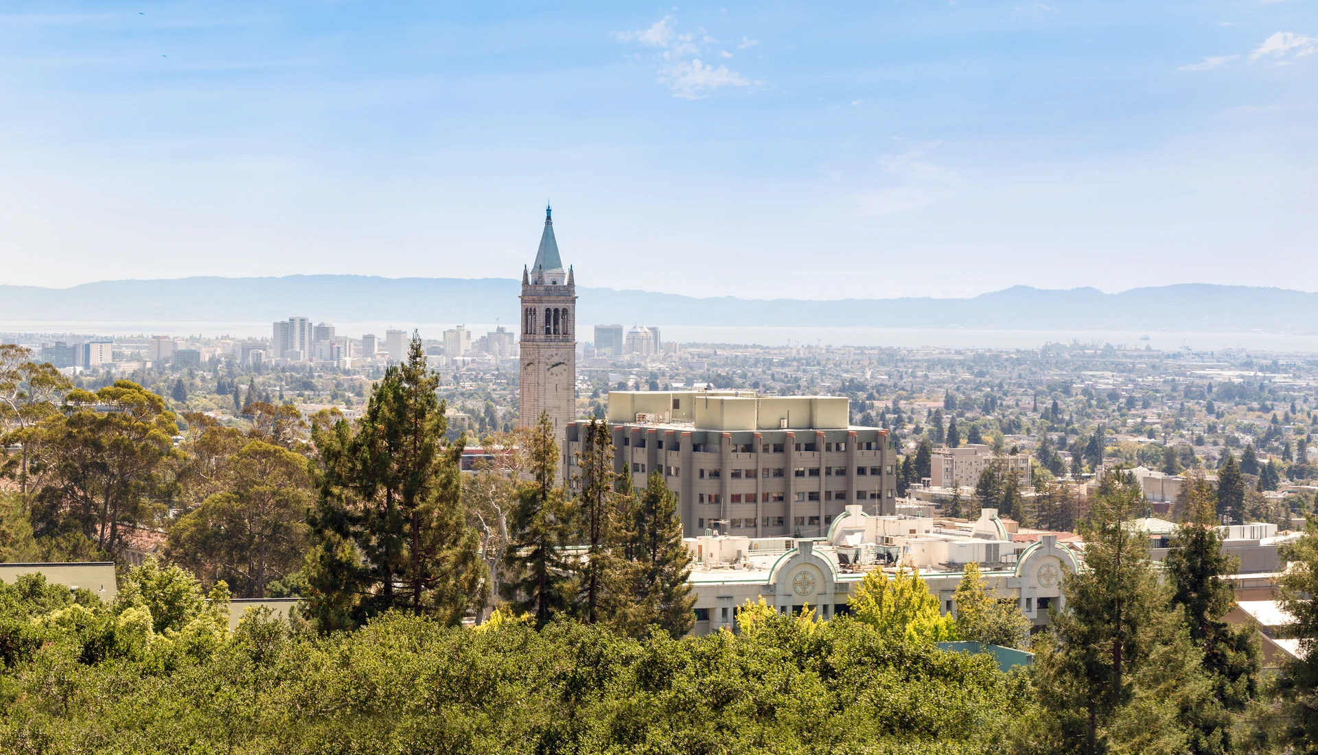 University campus